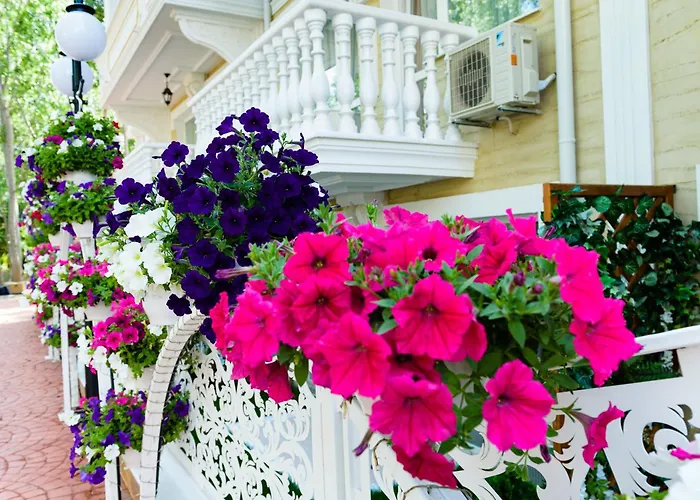 Sweet Homes 6 * Słoneczny Brzeg